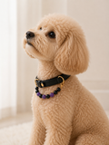 Collar para mascotas de obsidiana Aura de Medianoche, ojo de tigre y amatista