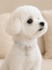 Seaside Blush Rose Quartz & Aquamarine Pet Collar