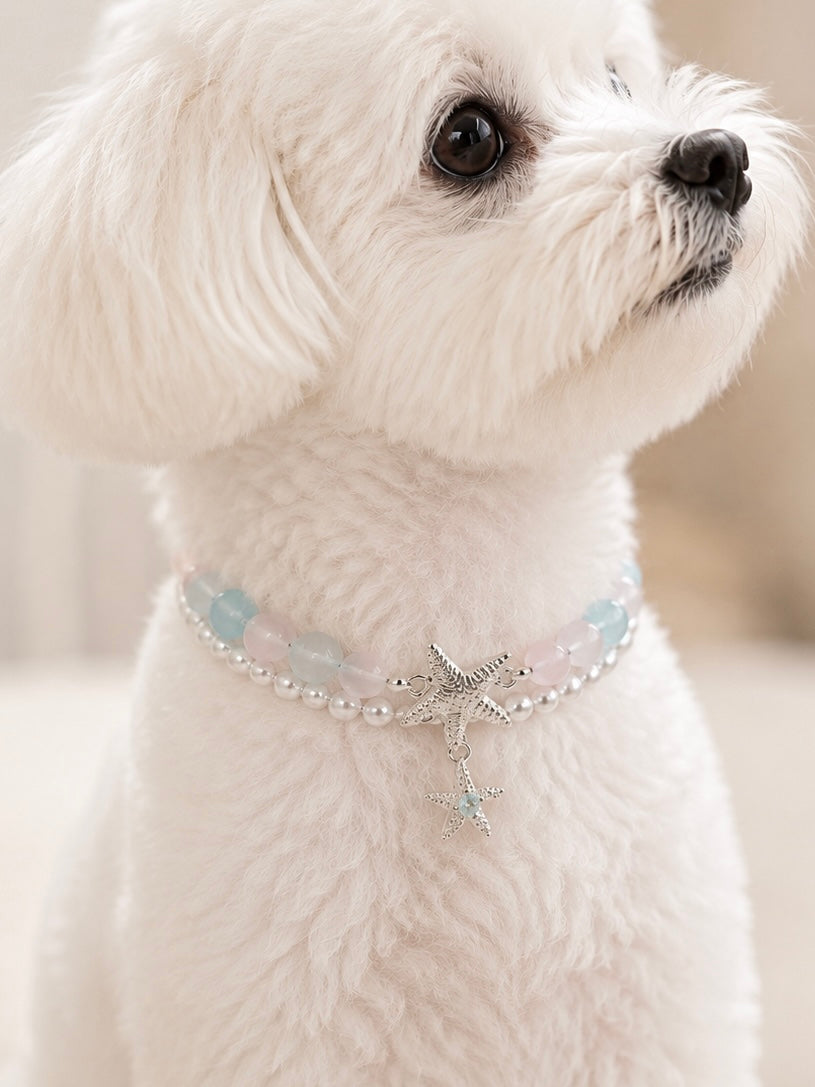 Seaside Blush Rose Quartz & Aquamarine Pet Collar