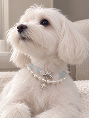 Seaside Blush Rose Quartz & Aquamarine Pet Collar