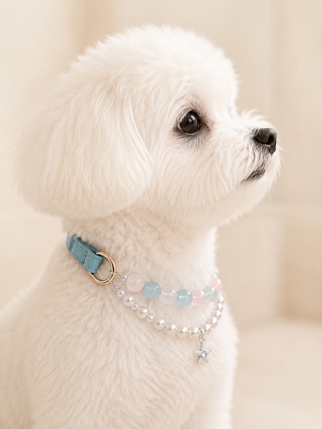 Seaside Blush Rose Quartz & Aquamarine Pet Collar