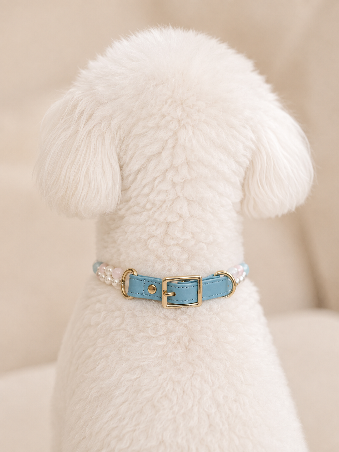Seaside Blush Rose Quartz & Aquamarine Pet Collar